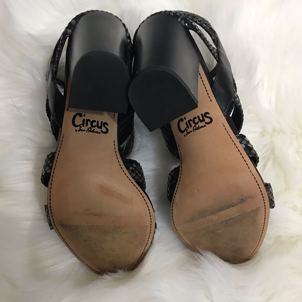 Circus by Sam Edelman York caged sandals - Picture 5 of 5